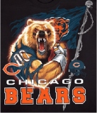 Nfl Betting – Bears Establish Themselves As Team To Beat In Nfc