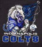 The Indianapolis Colts And The Denver Broncos Will Both Be Trying To Pick Up A Win On Sunday