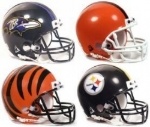 Odds To Win The Afc North And Season Win Totals