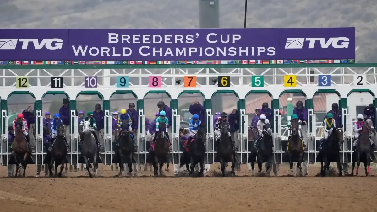 Gtbets 2014 Breeders Cup Promo For New Signups And Depositors