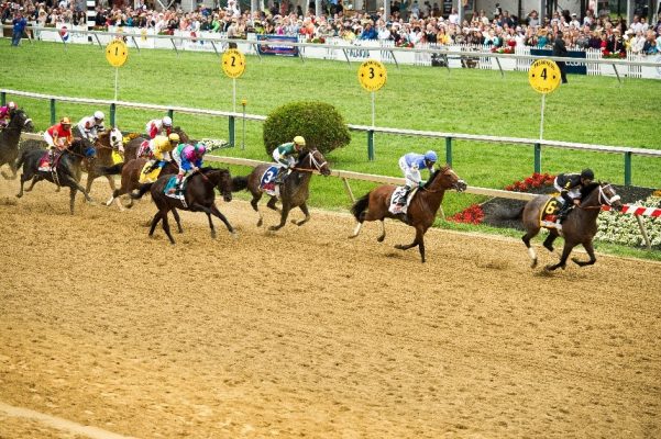 Online Racebook Tips On Doubling Profits During The Triple Crown