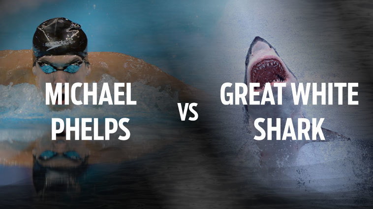 Michael Phelps vs Great White Shark Feature Handicappers Hideaway