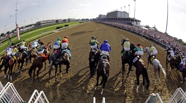 A Beginners Guide To Betting On Horse Racing