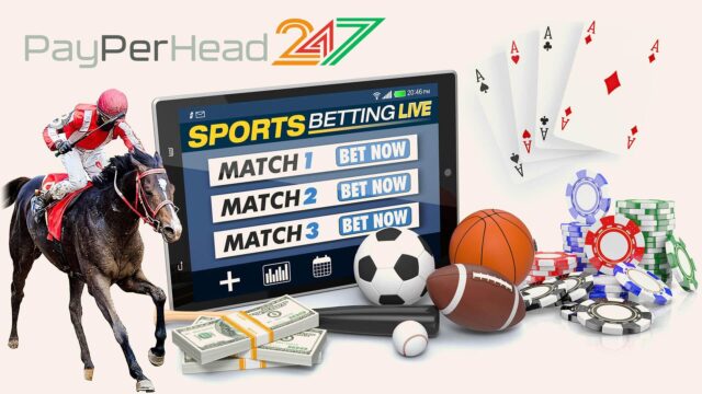 Sports Betting Players